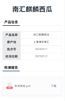 检测报告
