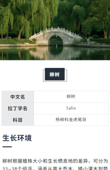 树木标牌